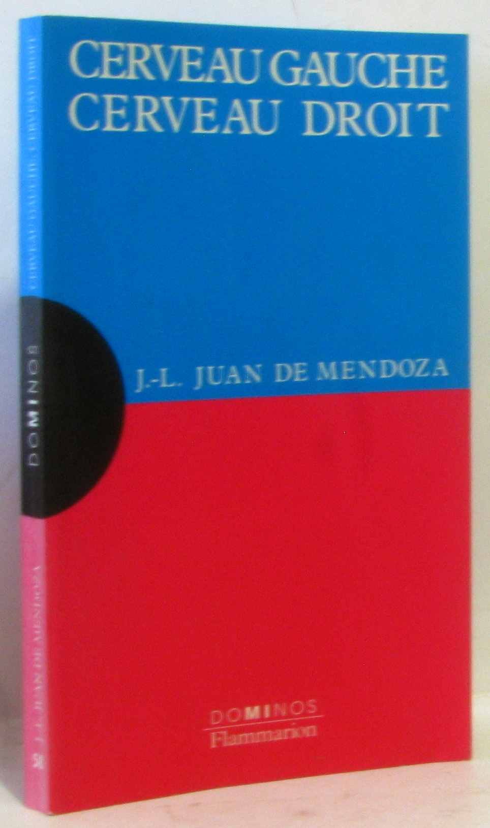 Cerveau gauche, cerveau droit : un exposé pour comprendre, un essai pour réfléchir 9782080352620