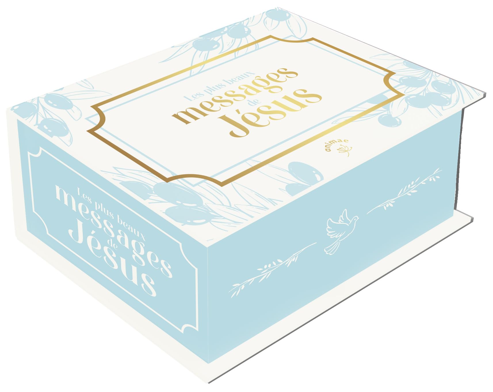 Les plus beaux messages de Jésus 9782385641597