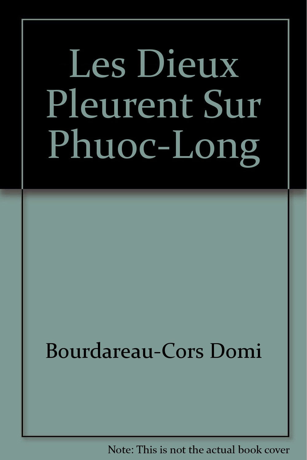 Les dieux pleurent sur Phuoc-Long 9782844348043