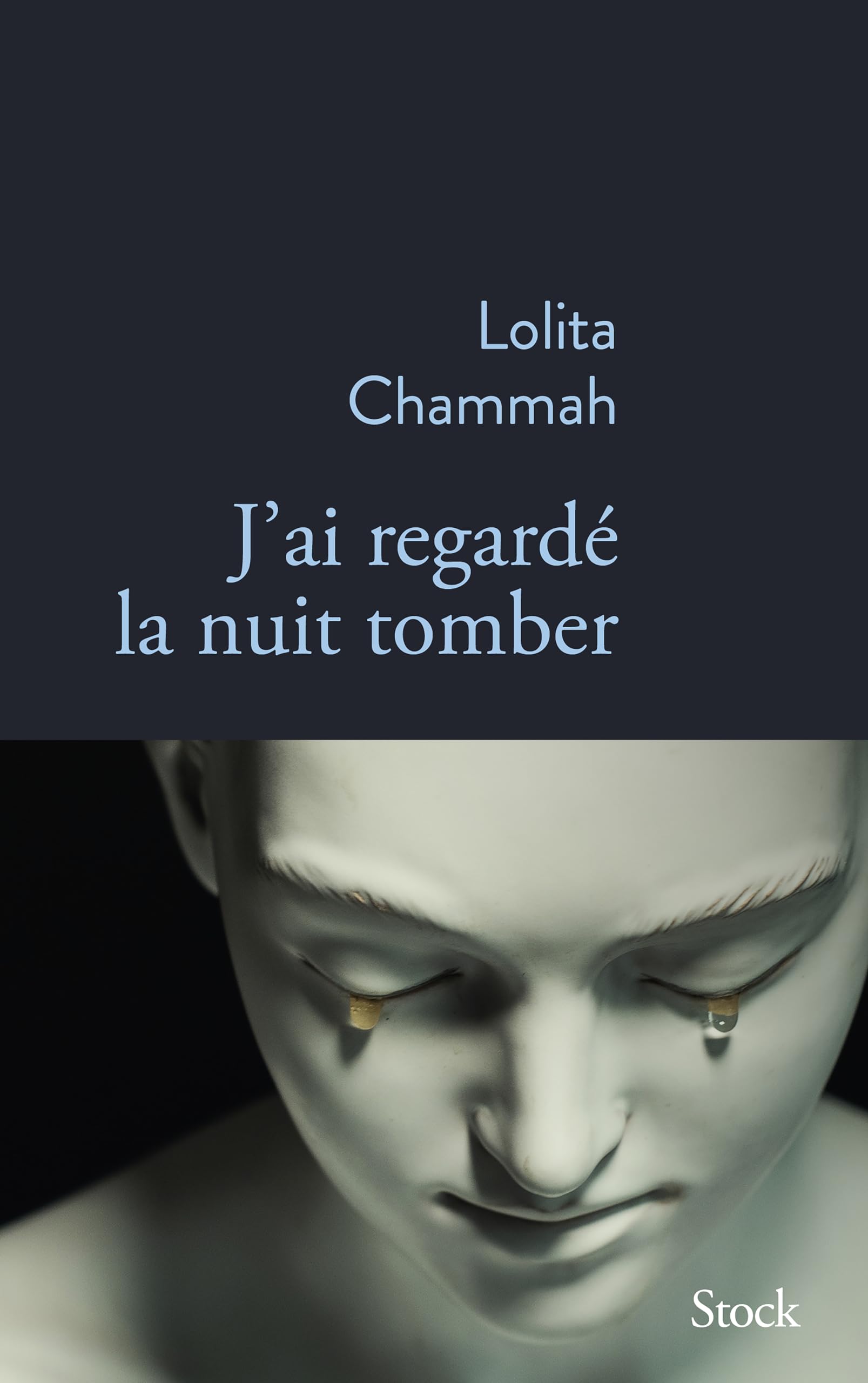 J'ai regardé la nuit tomber 9782234096431