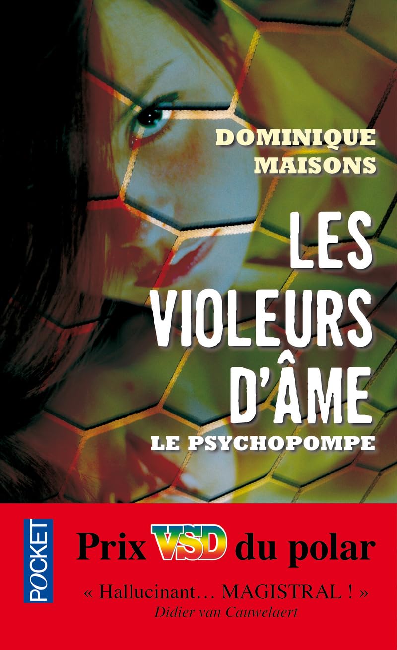 Les violeurs d'âme 9782266223003