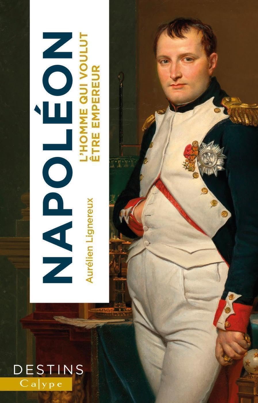 Napoléon: L'homme qui voulut être empereur 9782494178007