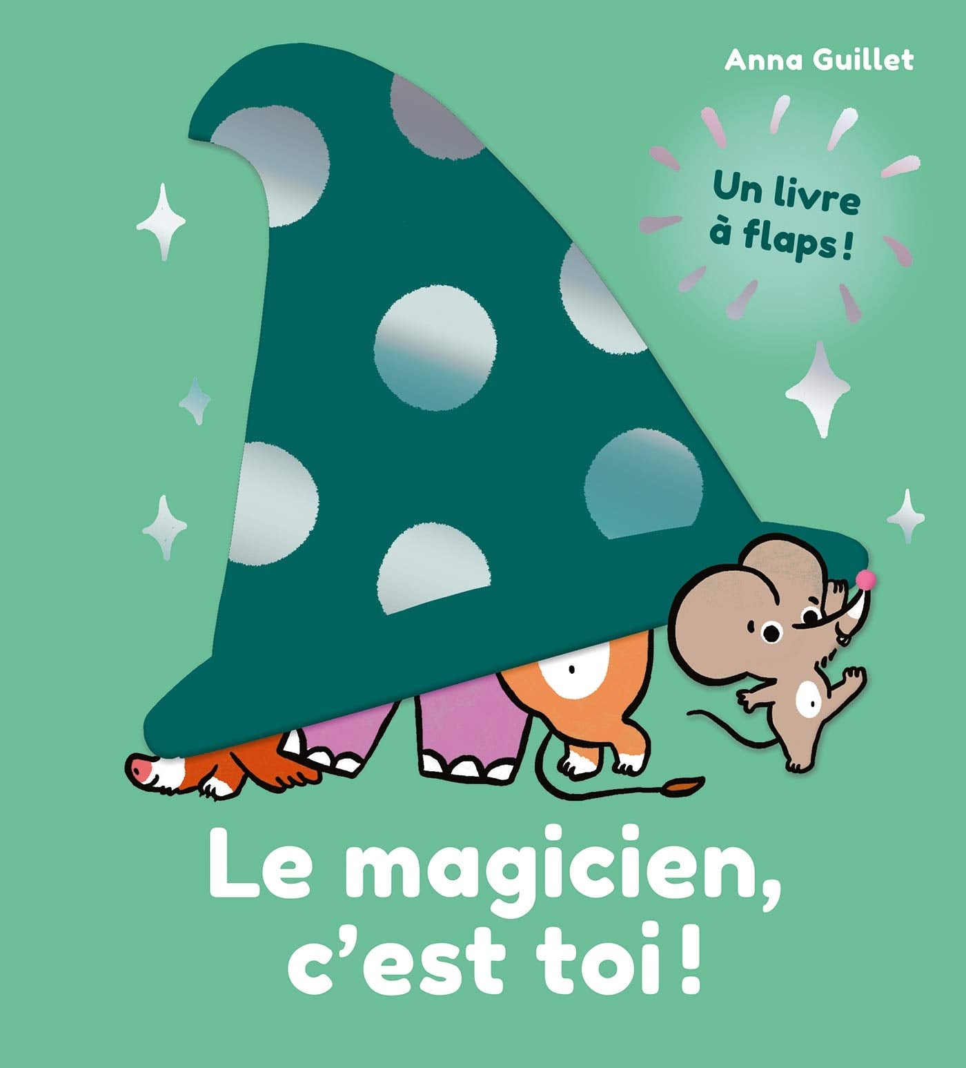 Le magicien, c'est toi ! 9782408020897