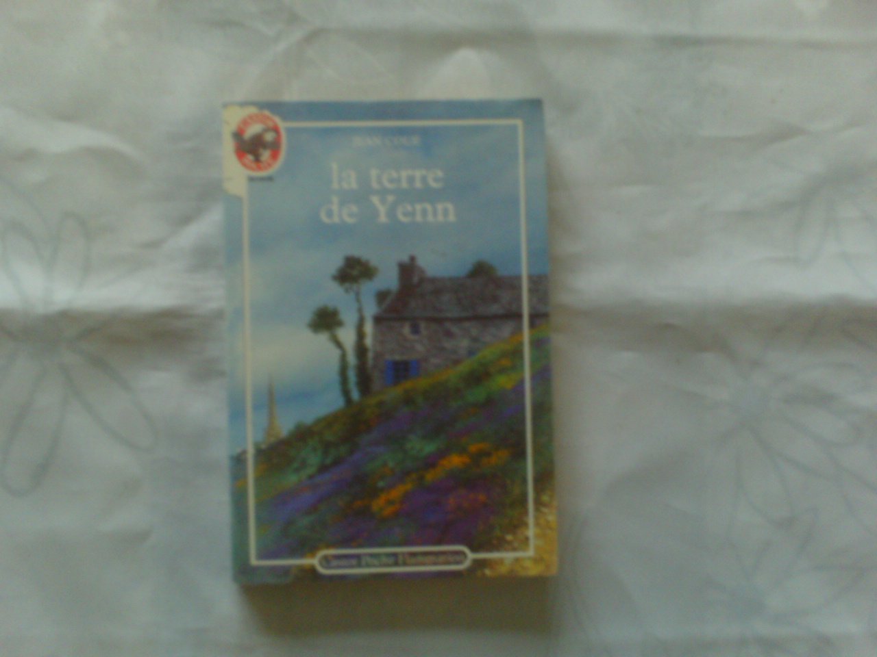 Terres de yenn **** (Les) 9782081621503