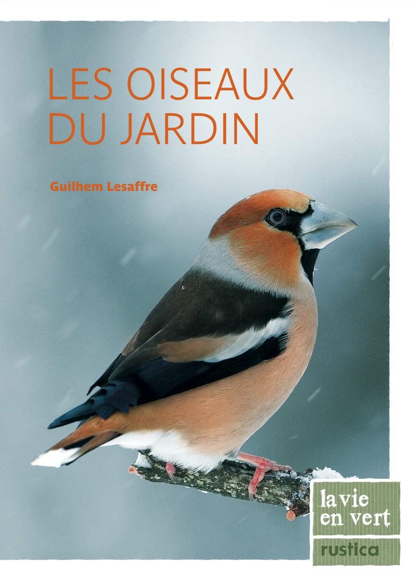 Les oiseaux du jardin 9782815300339