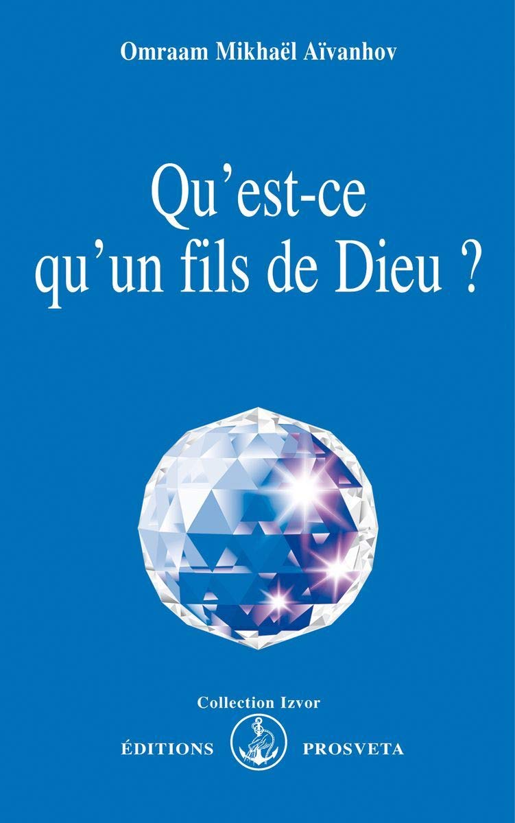 Qu'est-ce qu'un fils de dieu ? 9782855668093