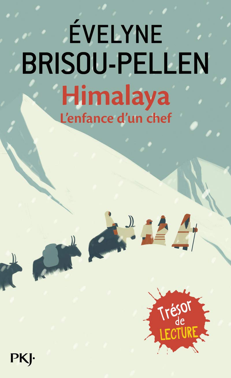 Himalaya 9782266106481