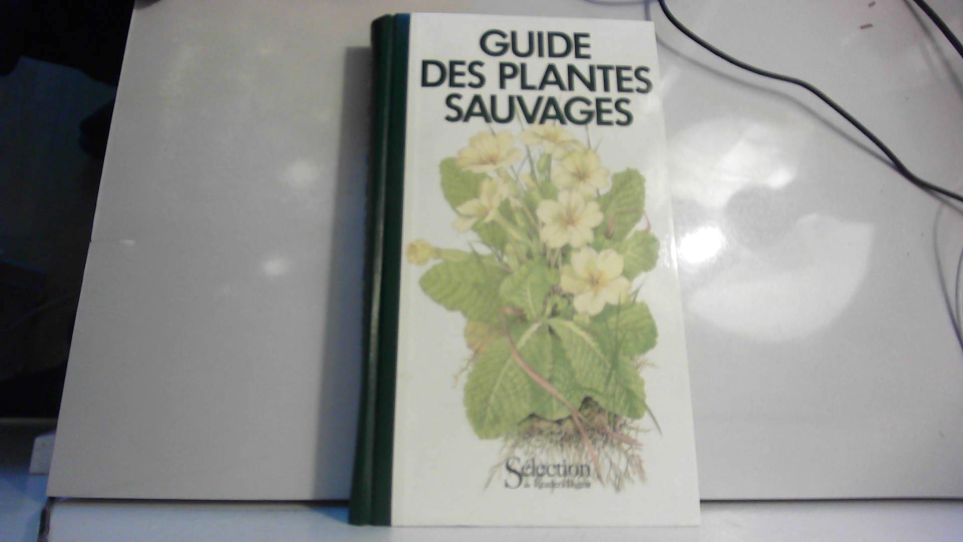 GUIDE DES PLANTES SAUVAGES 9782709801751