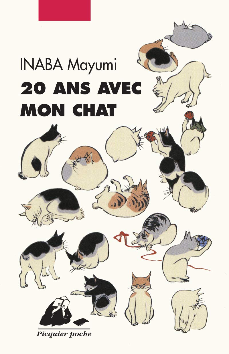 20 ans avec mon chat 9782809711400