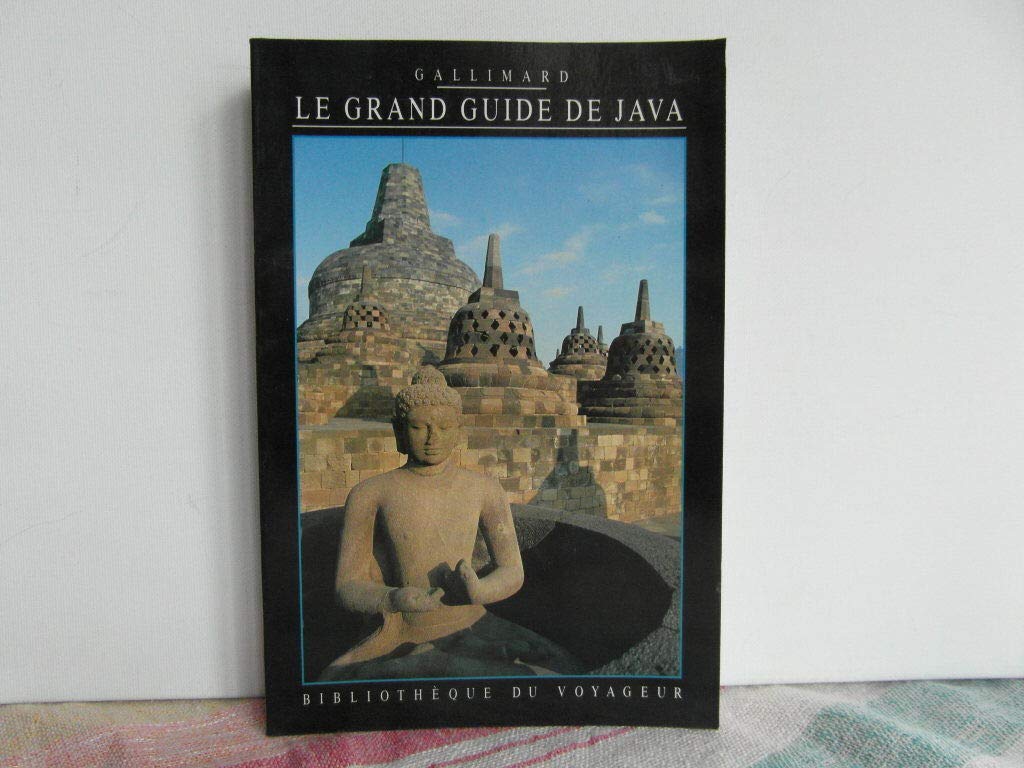 Le Grand Guide de Java 1996 9782070588305