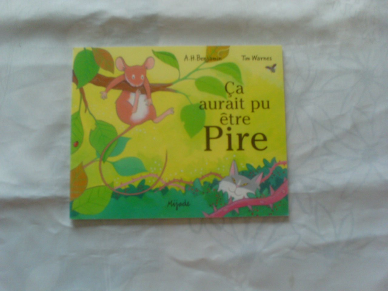 Ça aurait pu être pire 9782871422112