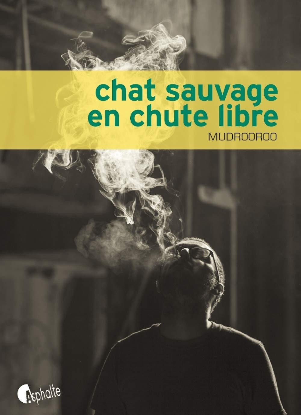 Chat sauvage en chute libre 9782918767664