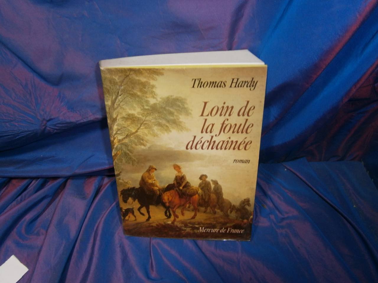 Loin de la foule déchaînée 9782715215863