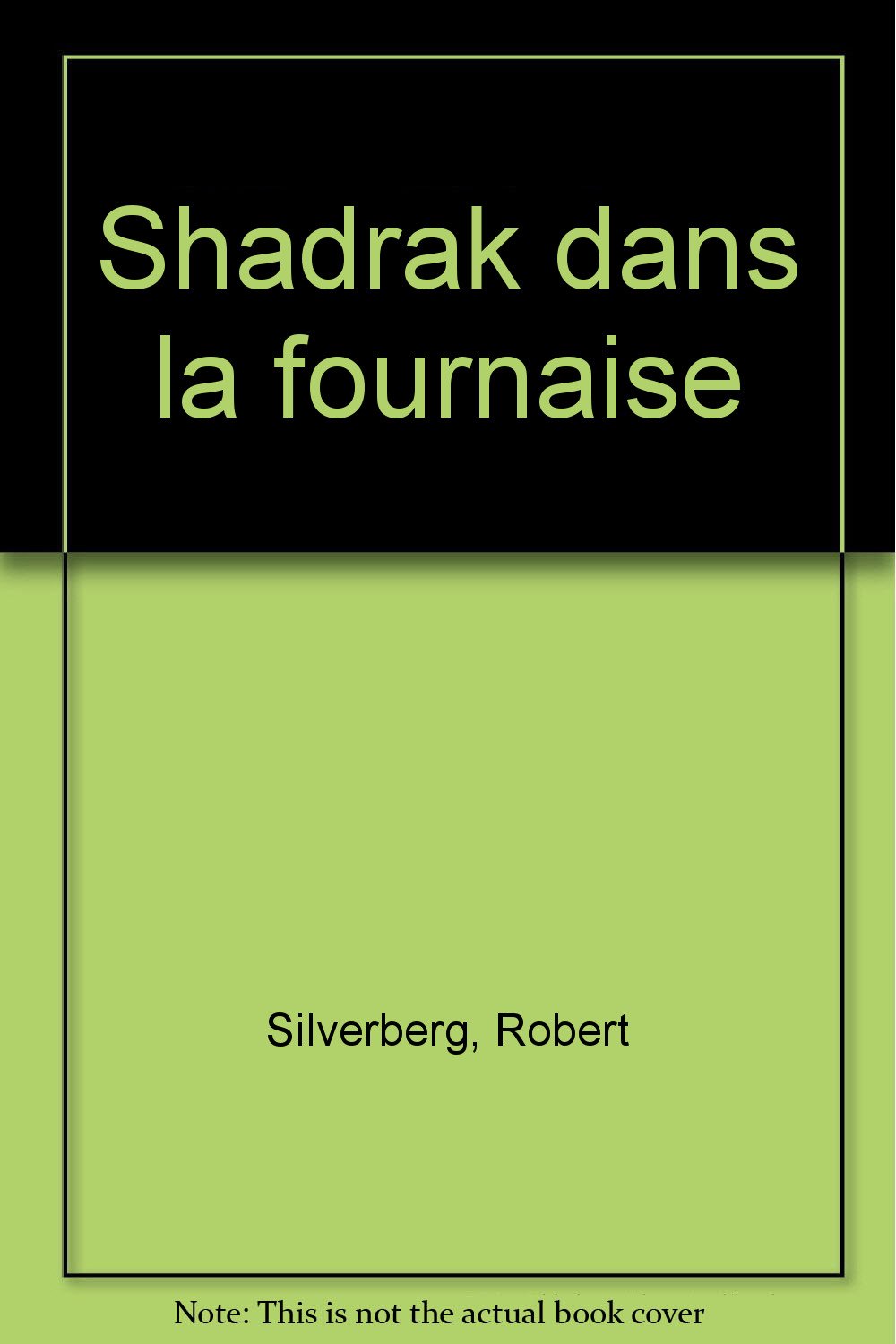 Shadrak dans la fournaise 9782253065104