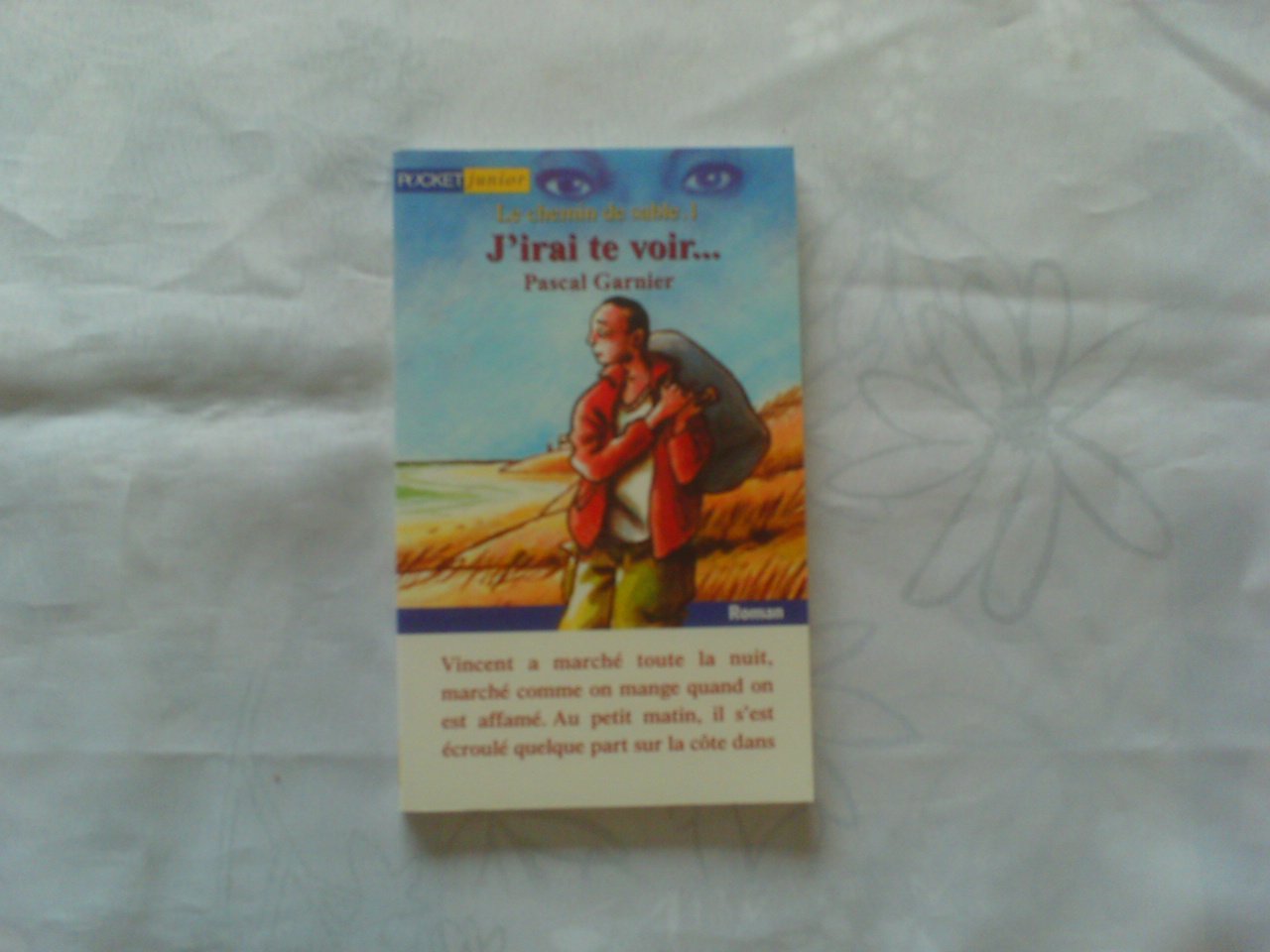 Le Chemin de sable, tome 1 : J'irai te voir 9782266092746