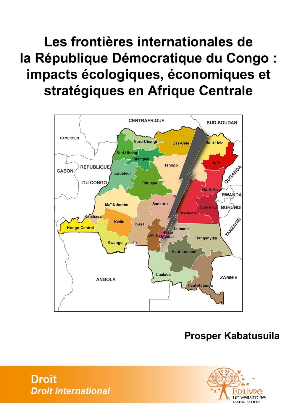 Les frontières internationales de la république démocratique du congo: imacts écologiques, économiques et stratégiques en afrique centrale 9782332516329