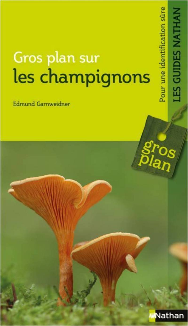 Gros plan sur les champignons - Guide nature 9782092789100