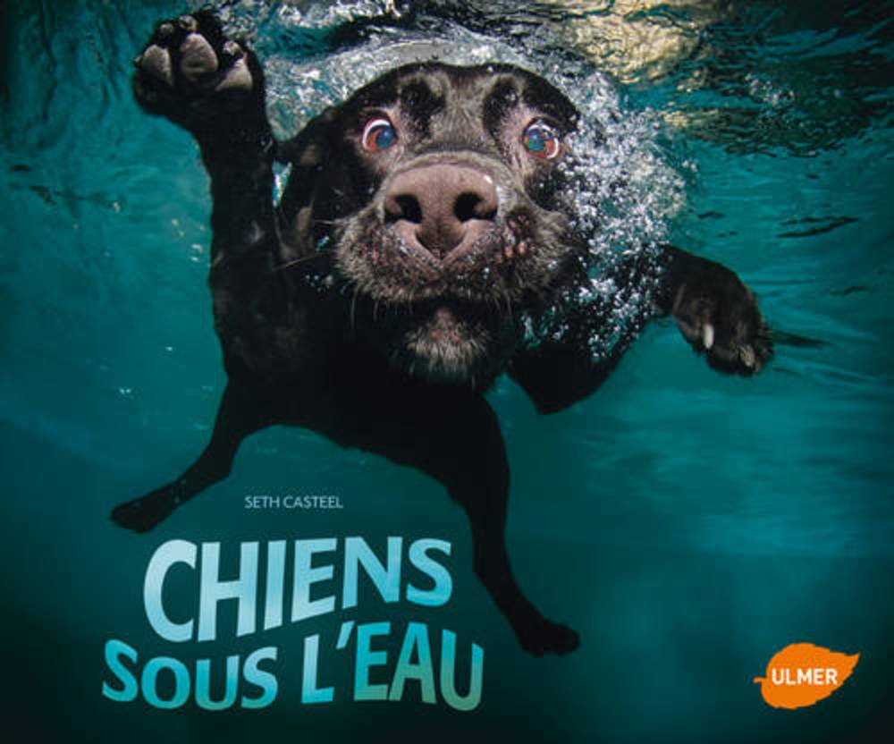 Chiens sous l'eau 9782841386567