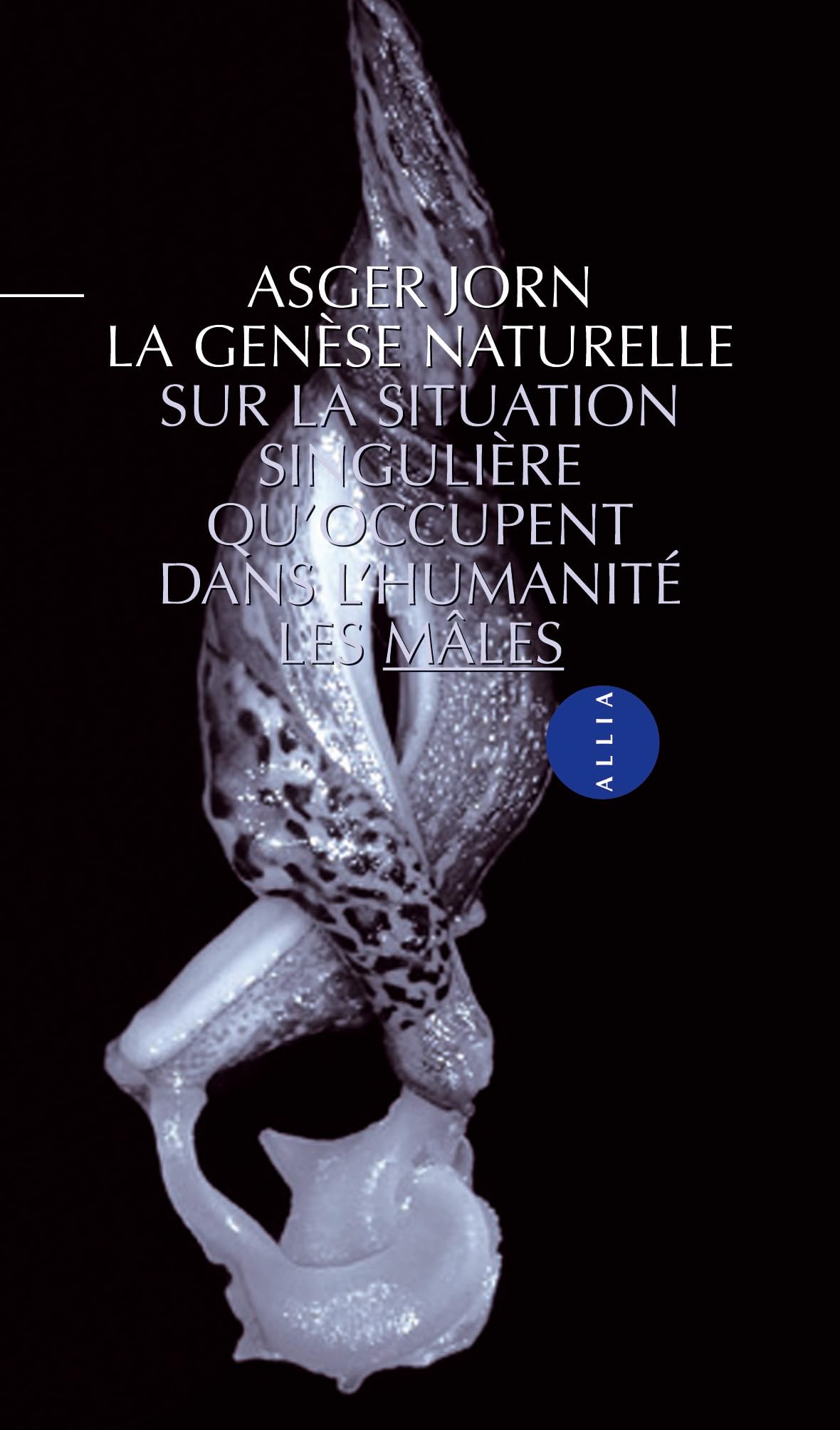 La genèse naturelle : sur la situation singulière qu'occupent dans l'humanité les mâles 9782844850737