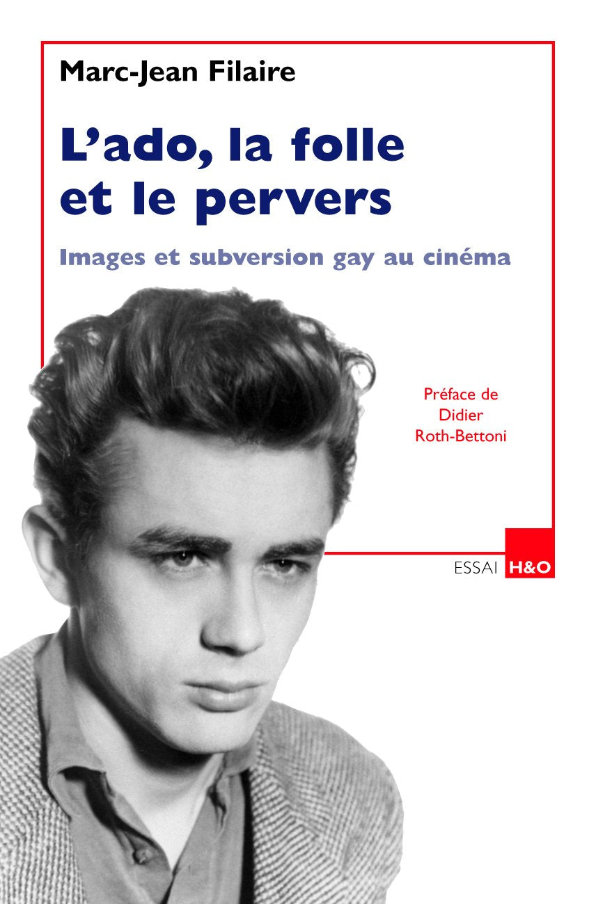 L'ado, la folle et le pervers : Images et subversion gay au cinéma 9782845471849