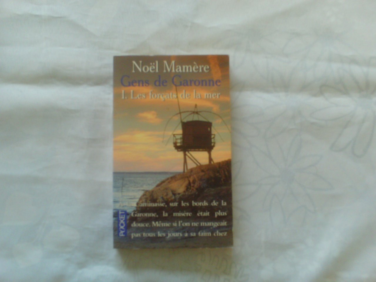 Les Gens de Garonne, tome 1. Les forçats de la mer 9782266096638