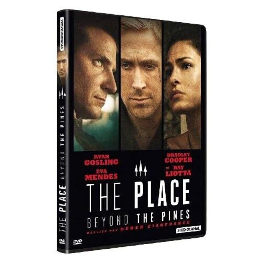 Place Beyond The Pines 5050582938029