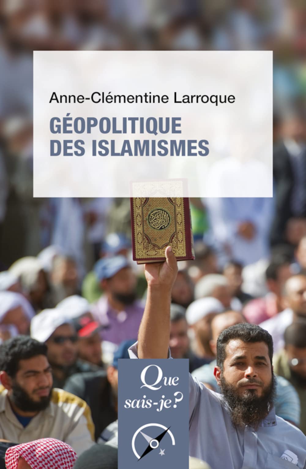 Géopolitique des islamismes 9782715407879