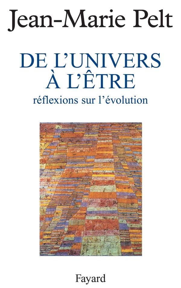 De l'univers à l'être : réflexion sur l'évolution 9782213596112