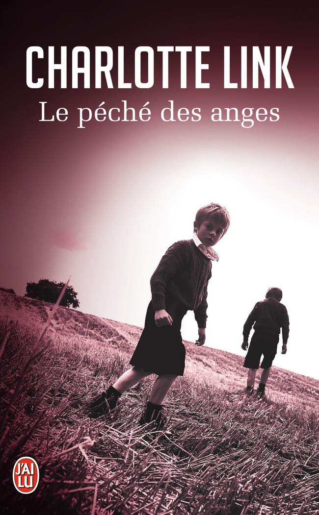 Le péché des anges 9782290072882