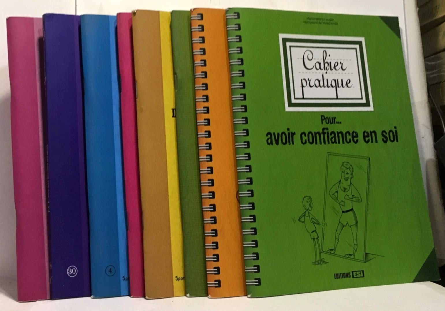 L'estime de soi 9782883537118