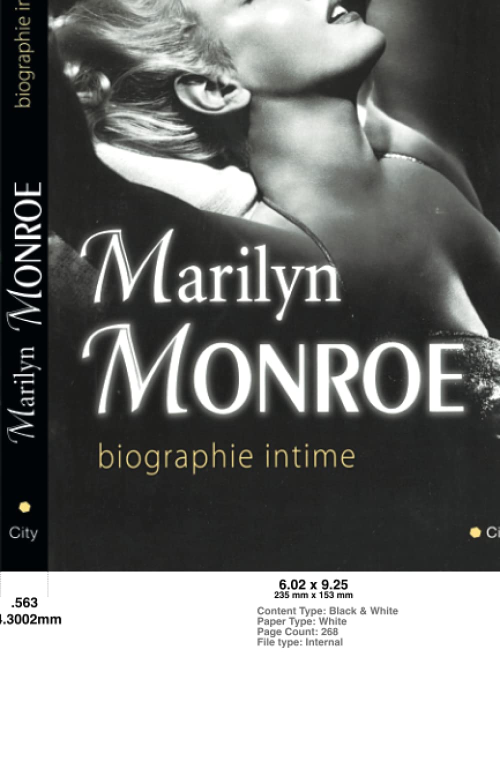 Marilyn Monroe biographie intime 9782824601717