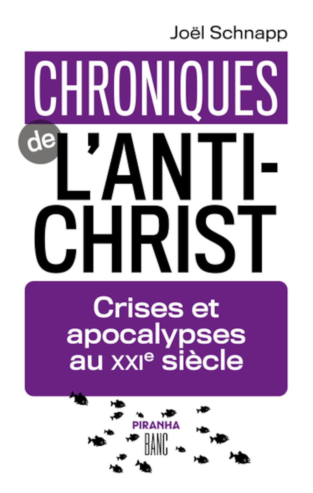 Chroniques de l'Antichrist: Crises et apocalypses au XXIe siècle 9782371190757