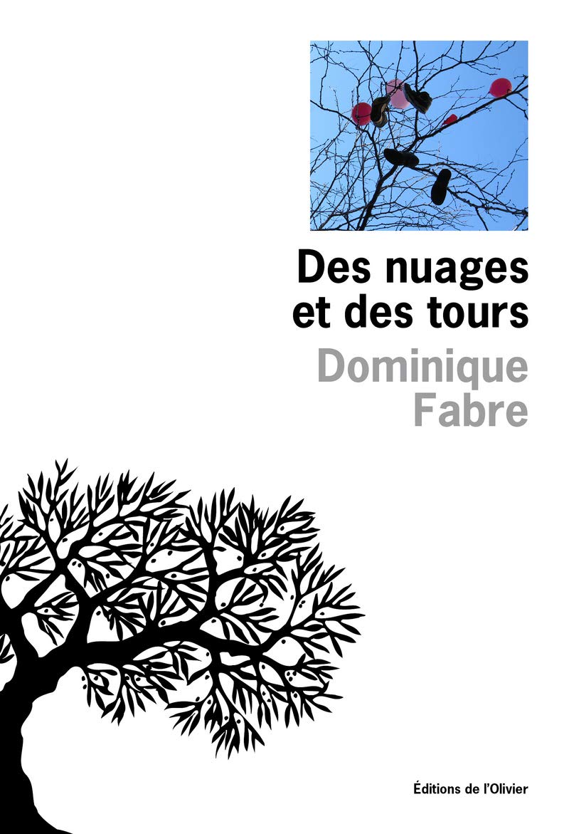 Des nuages et des tours 9782823601541