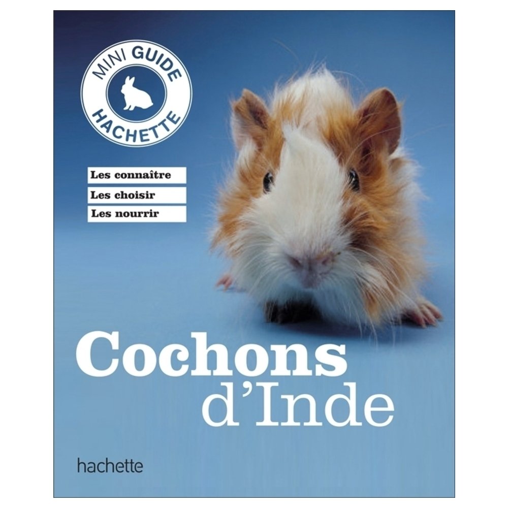 Cochon d'inde 9782012381735