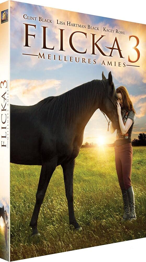 Flicka 3 : Meilleures amies 3344428050849