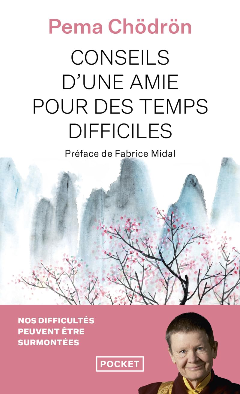 Conseils d'une amie pour des temps difficiles 9782266123303