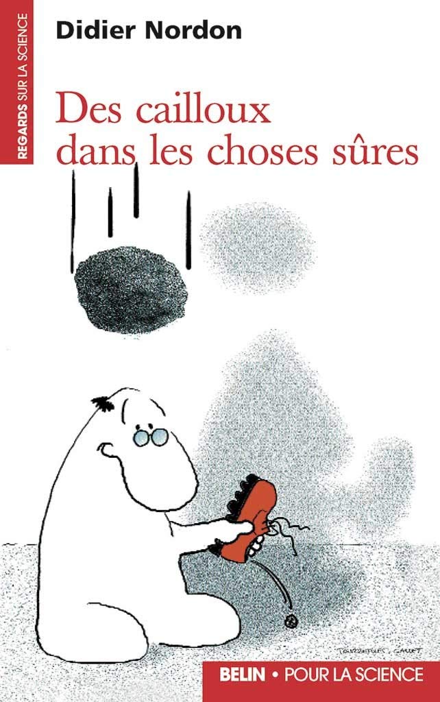 Des cailloux dans les choses sûres 9782902918973