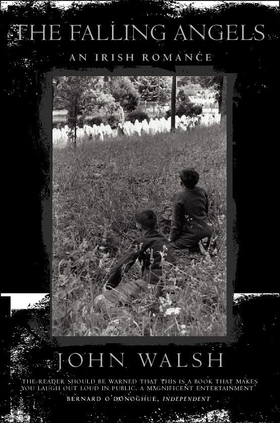 THE FALLING ANGELS 9780006531227