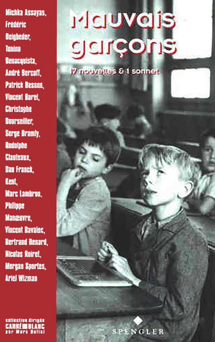 Mauvais garçons: 17 nouvelles et 1 sonnet 9782909997353