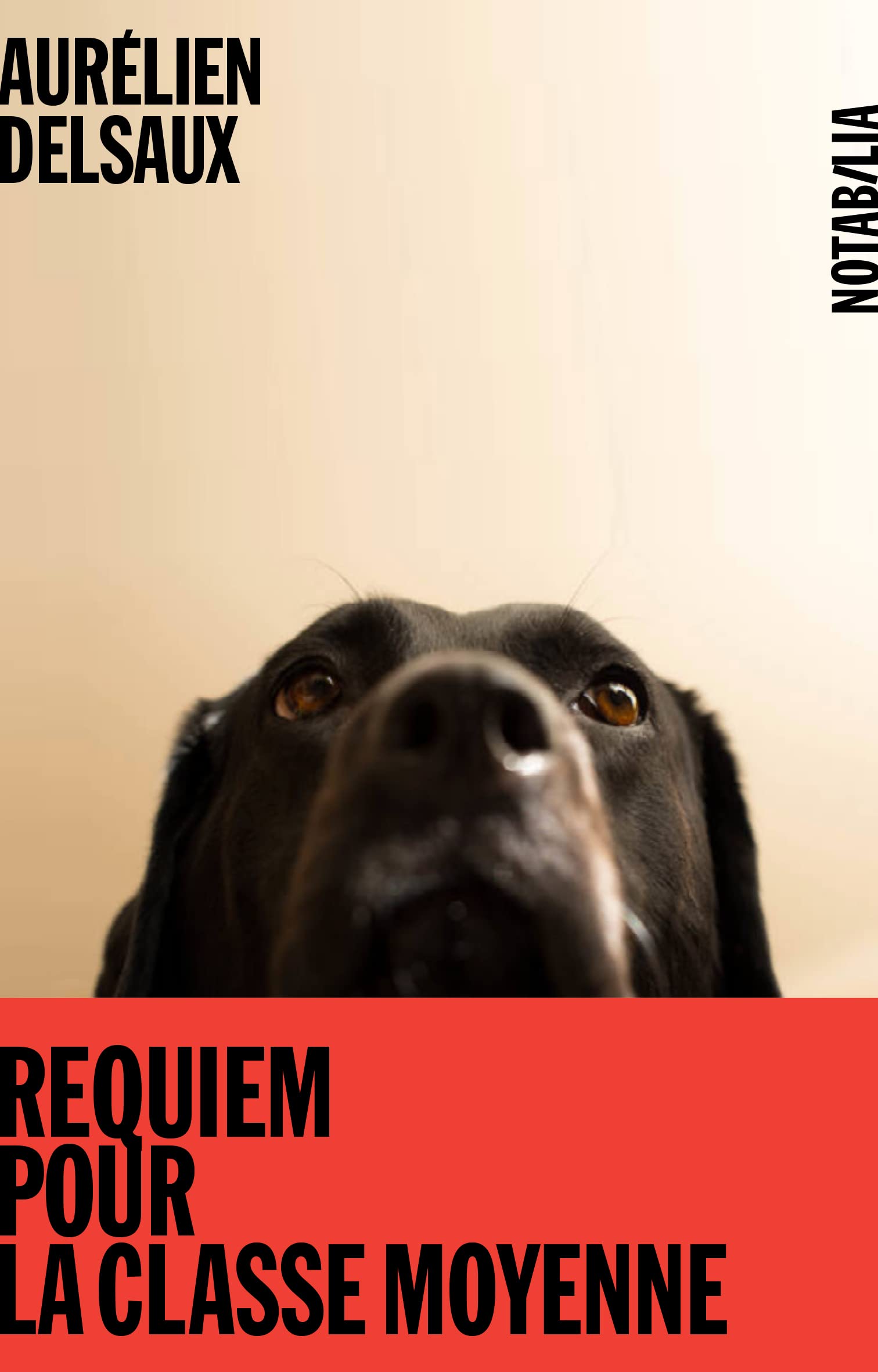 Requiem pour la classe moyenne 9782882508058