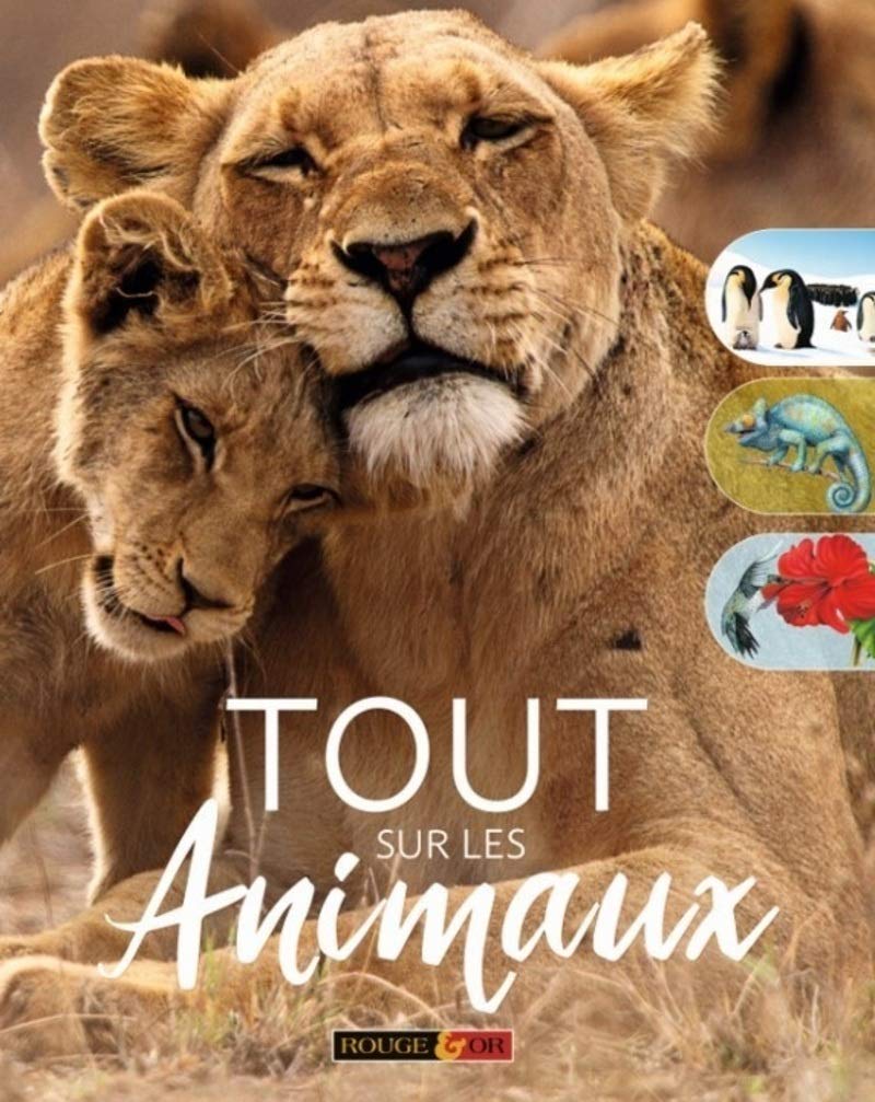 Tout sur les animaux - Dès 6 ans 9782261405077