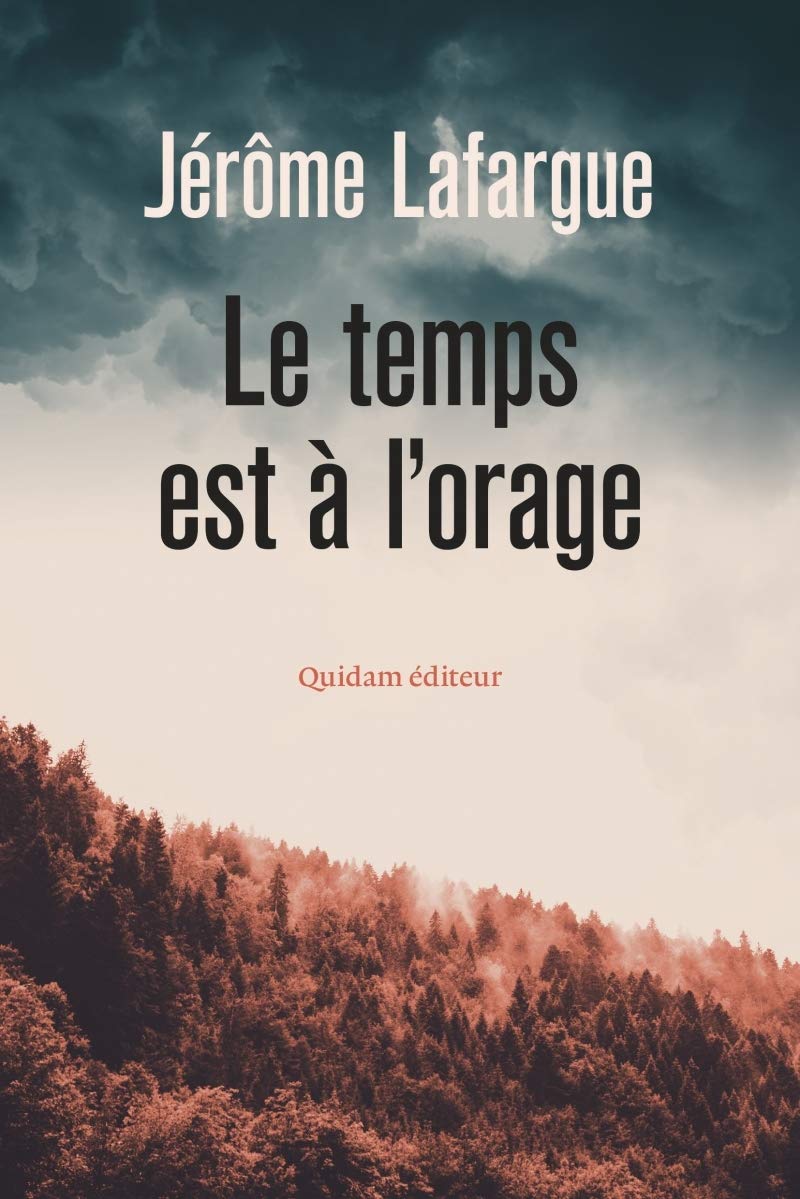 Le temps est à l'orage 9782374911120