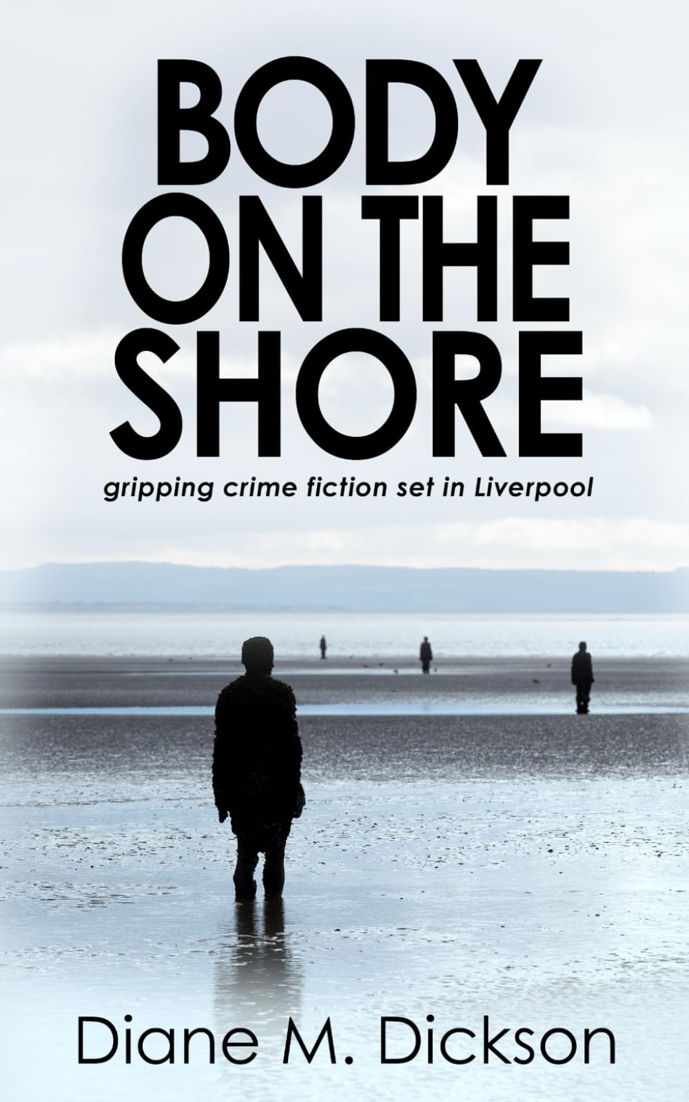 Body on the Shore: gripping crime fiction set in Liverpool 9781913516826