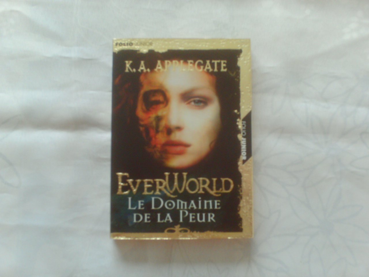 Everworld, tome 4 : le domaine de la peur 9782070543694