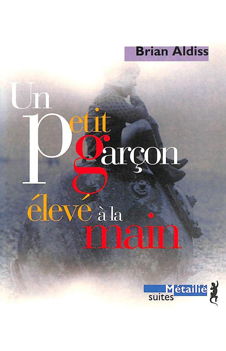 Un petit garçon élévé à la main 9782864244226