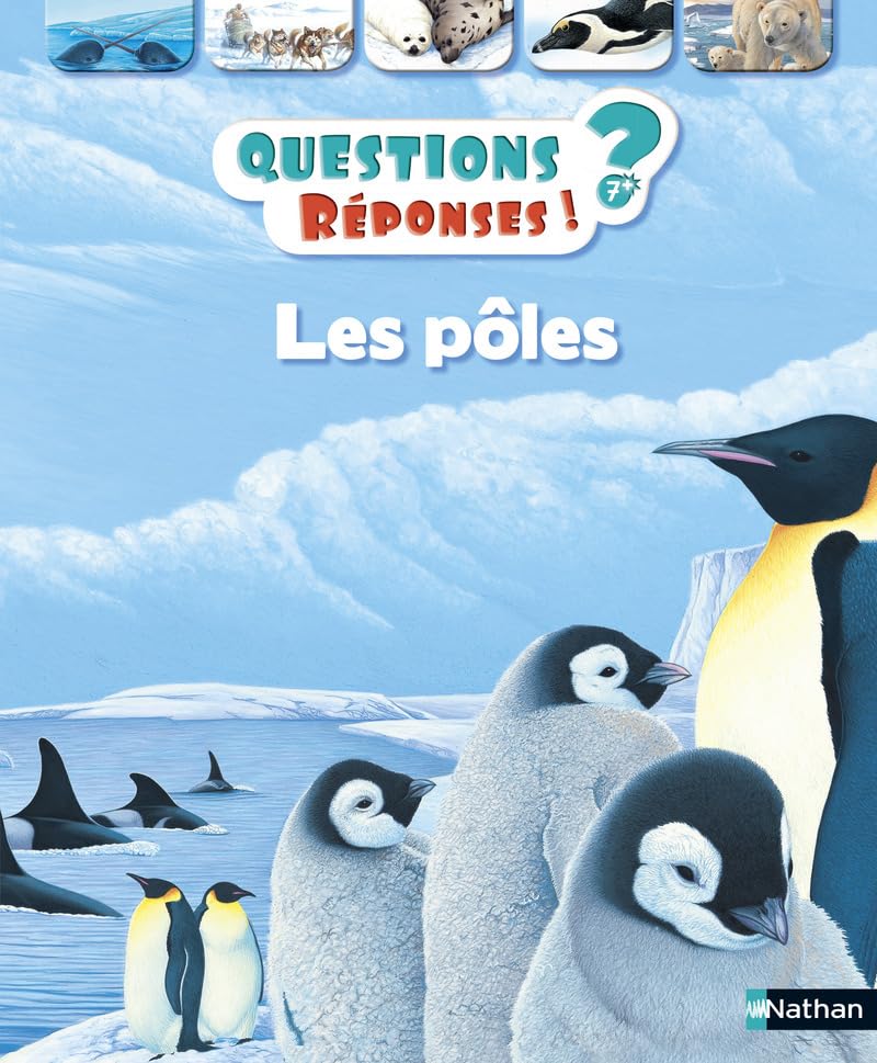 Les pôles - Questions/Réponses - doc dès 7 ans (13) 9782092552971