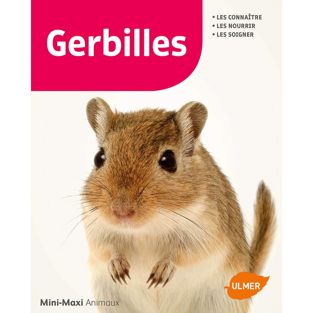 Gerbilles 9782841388905