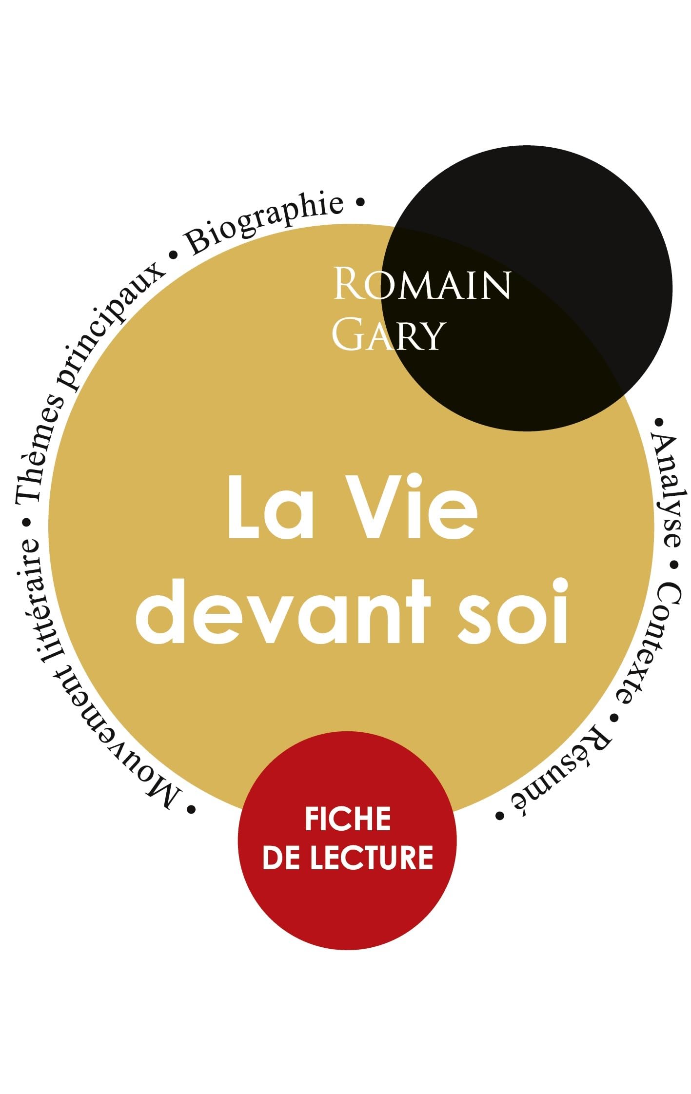 Fiche de lecture La Vie devant soi (Étude intégrale) 9782759313808