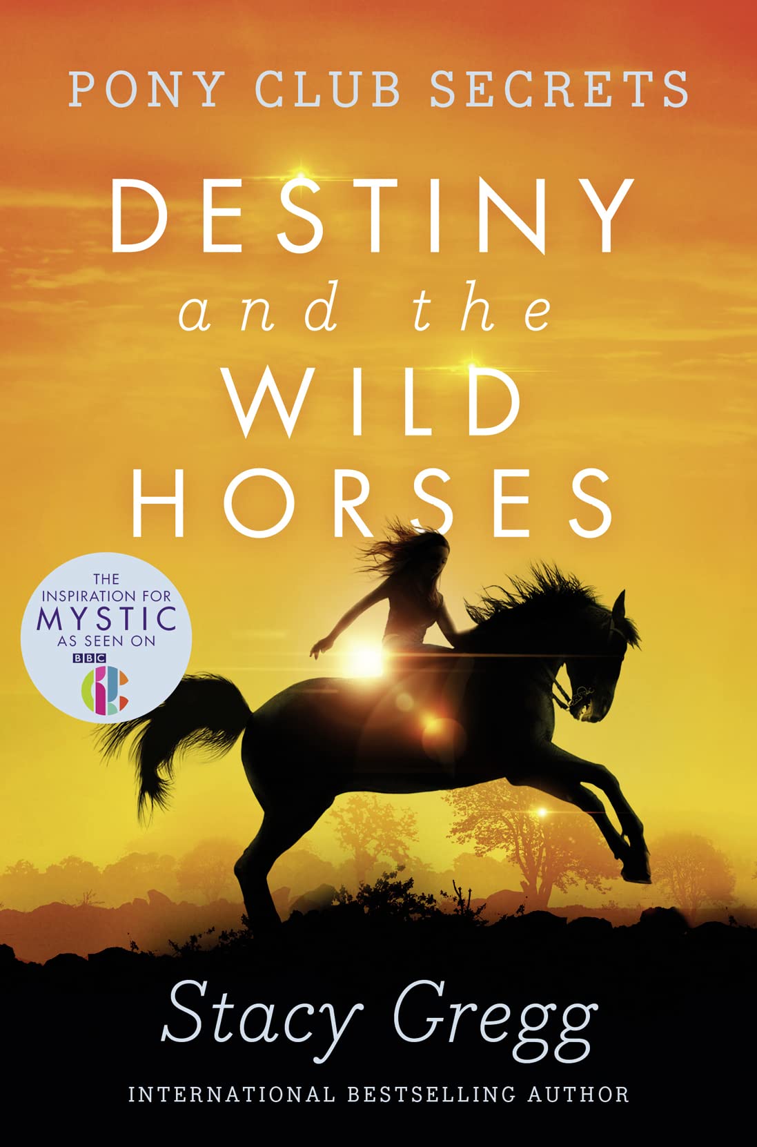 Destiny and the Wild Horses (Pony Club Secrets, Book 3) 9780007245185