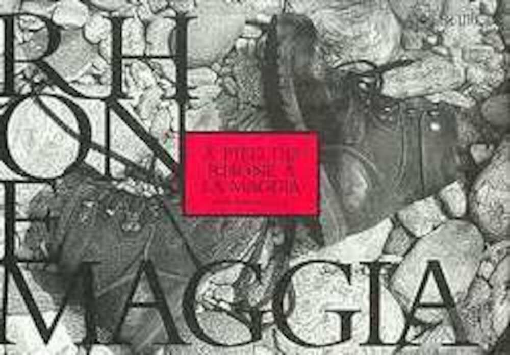 A pied du Rhône à la Maggia 9782882581297